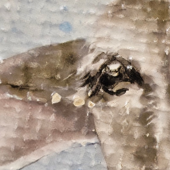 Pier 1 Imports Ironstone Easter Lamb with Daisy Chain sheep‎ salad plate - Picture 2 of 6